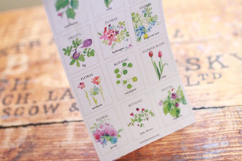 Fion 2017 Botanic Gardens sticker watercolor - Cards & Postcards - Paper Green