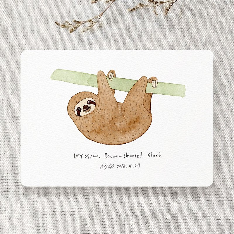 Sloth postcard - การ์ด/โปสการ์ด - กระดาษ สีนำ้ตาล