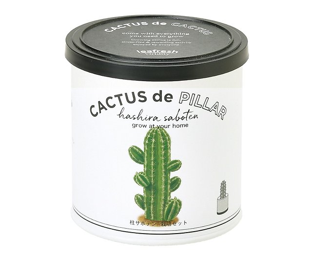 Cactus De Cactus サボテン植物栽培群 2種 ショップ 聖新陶芸 Seishin 観葉植物 Pinkoi