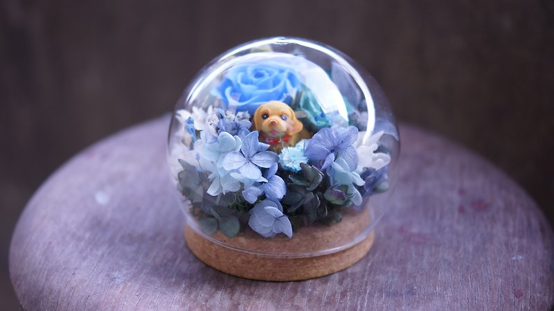 藍色系 玻璃罩玫瑰  永生花玫瑰   生日禮物  乾燥花  小動物隨機 - 乾燥花/永生花 - 植物．花 藍色