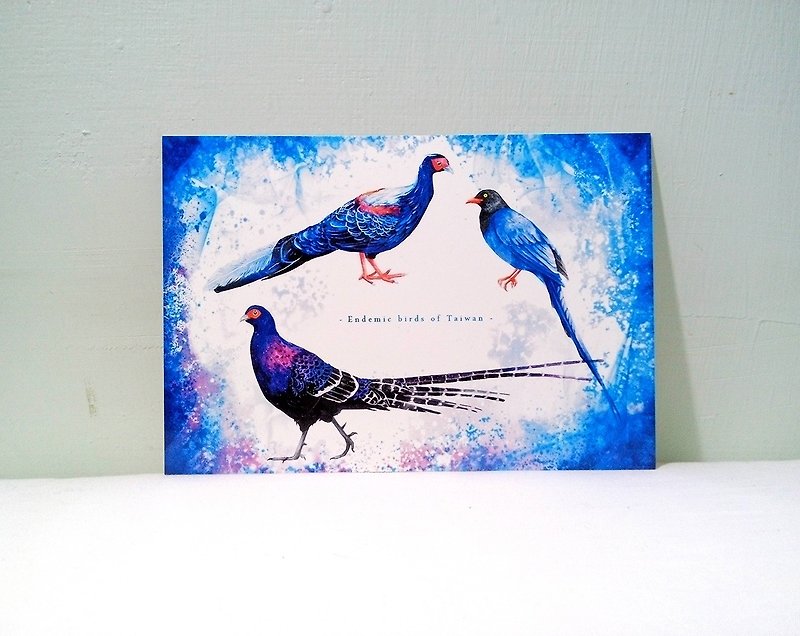 Taiwan's unique national bird/illustration/double-sided postcard postcard - การ์ด/โปสการ์ด - กระดาษ สีน้ำเงิน