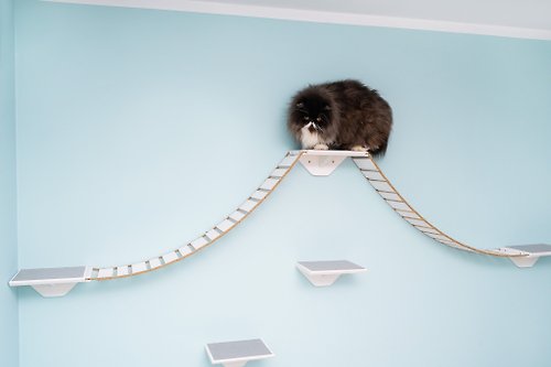 PETFJORD 貓玩橋架子掛式貓梯現代寵物家具愛貓人士貓架子木製貓家具牆上貓