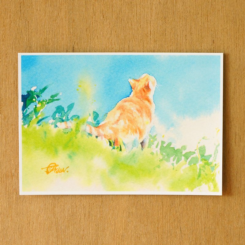 《水彩貓》系列明信片 - 綠坡仰望 - 卡片/明信片 - 紙 橘色