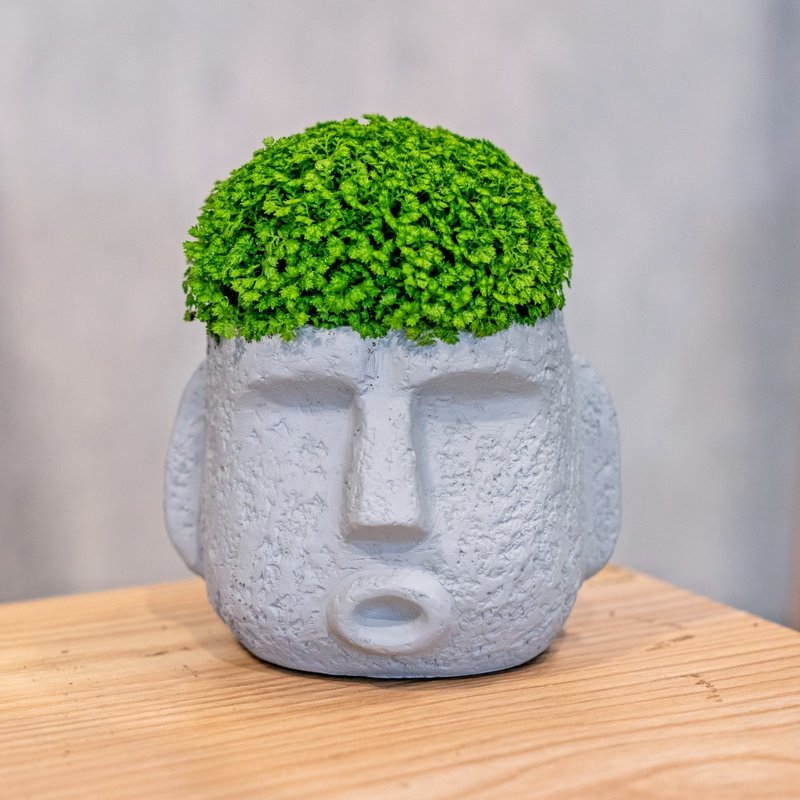 冰淇淋捲柏 摩艾人像 淺灰色 水泥盆栽 桌上型盆栽 喬遷禮物 植栽 - 盆栽/植栽 - 植物．花 