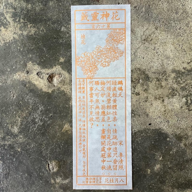花神靈籤/第16首/桂花 - 書籤 - 紙 透明