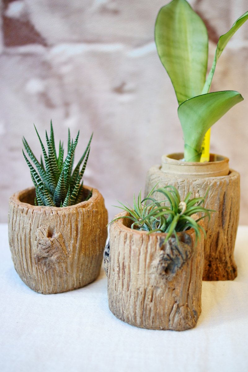 手作陶 仿原木綠植盆 H7cm 多肉盆 空氣鳳梨 擺飾 花盆 筆筒 盆栽 - 植栽/盆栽 - 陶 咖啡色