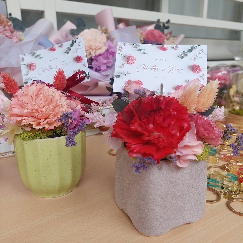 給媽咪的康乃馨小盆花  母親節 DIY花藝材料包 - 盆栽/花藝 - 植物．花 多色