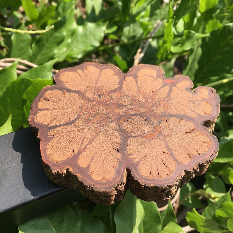 Chrysanthemum Wood Coaster 【S/H】 - ที่รองแก้ว - กระดาษ 