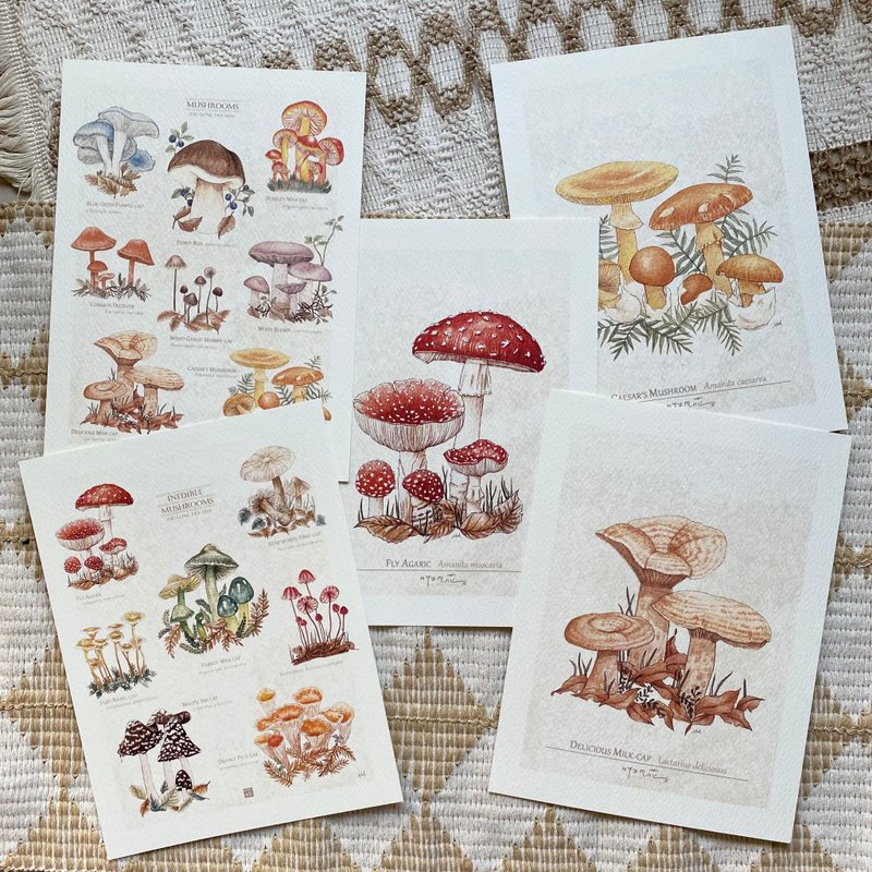雨季的蕈類圖鑑小海報 - 卡片/明信片 - 紙 