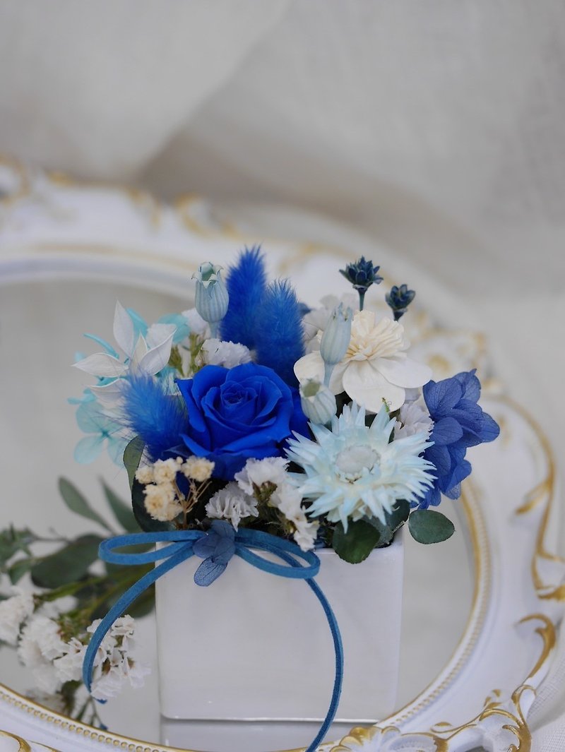 【法式庭園】藍檣晴空 - 乾花/永生花 - 植物．花 
