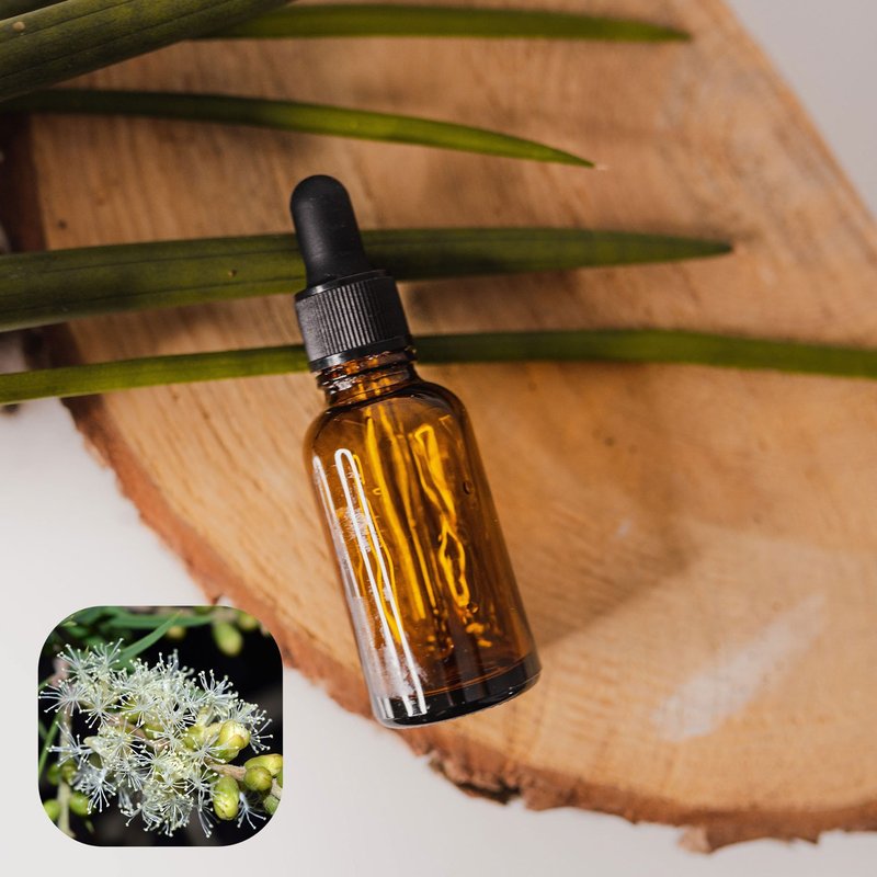 【香間小路】天然精油 尤加利精油 Eucalyptus ( 贈送甜橙精油 ) - 香氛/精油/擴香 - 玻璃 透明