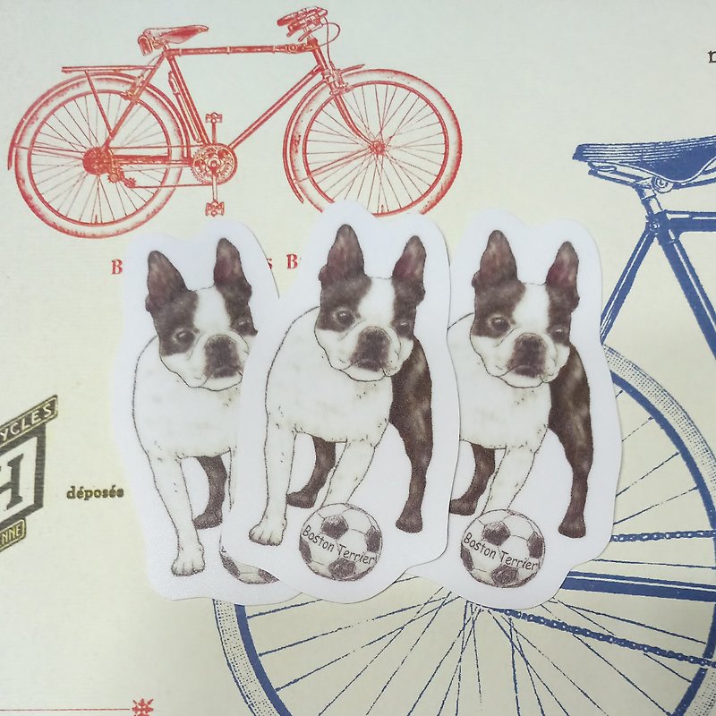Sketch Series~Boston Terrier-Waterproof Sticker (1pcs) - สติกเกอร์ - วัสดุกันนำ้ 