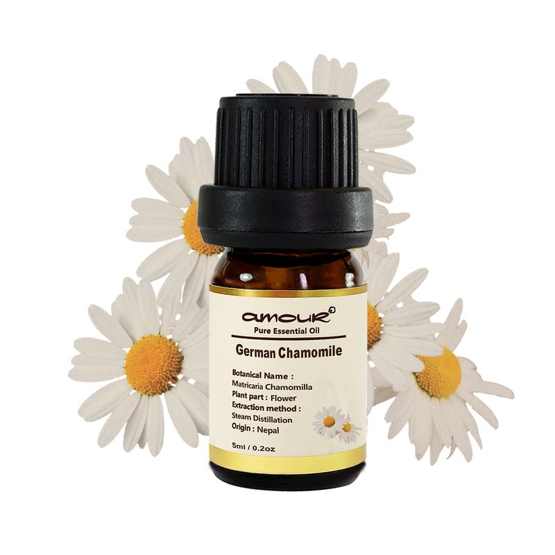 [Amour Miracle] German chamomile essential oil NO.2 5ml natural pure essential oil - Fragrances - Essential Oils White