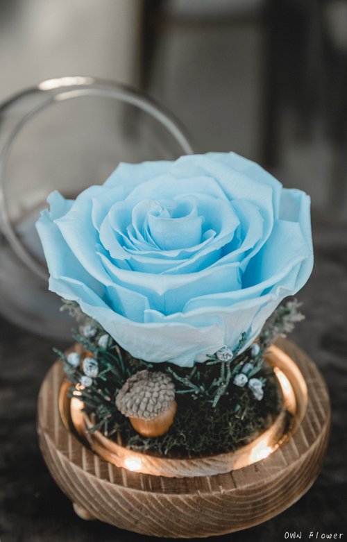 OWN Flower花藝設計 聖誕禮物/夜燈/永生花玻璃盅/生日禮物/交換禮物/永生玫瑰/不凋花