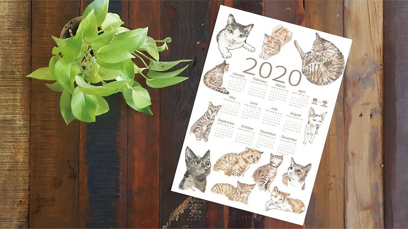 2020 Orchid Island Cat Calendar - ปฏิทิน - กระดาษ 