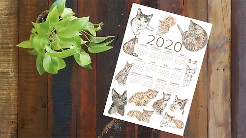 小島畫畫課 2020蘭嶼小島貓年曆