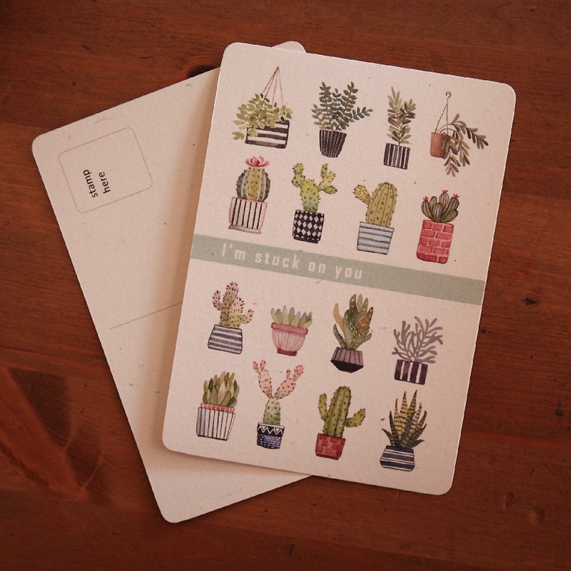 Miss MUDI Meat Cactus Postcard - Cards & Postcards - Paper 