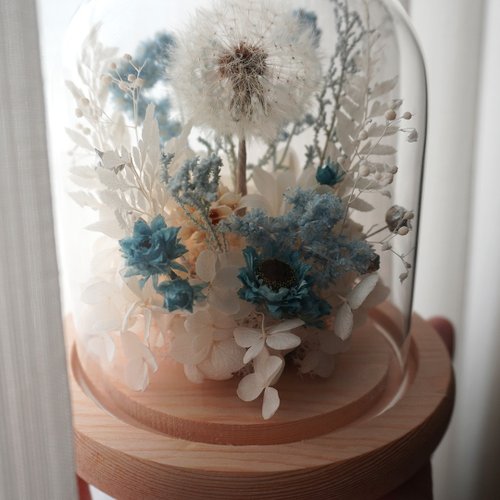 晴朵花藝 【 送禮.佈置 】蒲公英鳥兒玻璃罩。永生花乾燥花