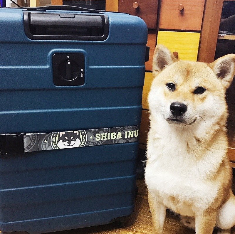 Barn House Shiba Inu three-color luggage belt - Other - Polyester Black