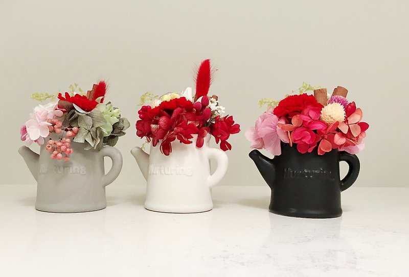 No Withered Plants - Red Carnation Watering Pot - Mother's Day Gift - Plants - Plants & Flowers Red