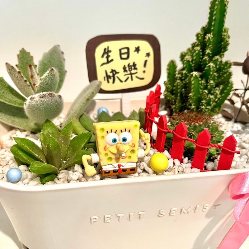 SpongeBob succulent group pot succulent potted micro landscape birthday gift customized - ตกแต่งต้นไม้ - พืช/ดอกไม้ สีเขียว