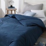 Single/October Quilt/Machine Washable, No Quilt Cover, Good Quilt Cover All Year - Calm Blue