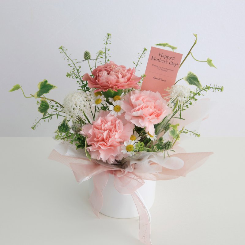 鮮花。Love媽咪 春與時光∣莓粉色系康乃馨 鮮花盆花S - 植栽/盆栽 - 植物．花 粉紅色