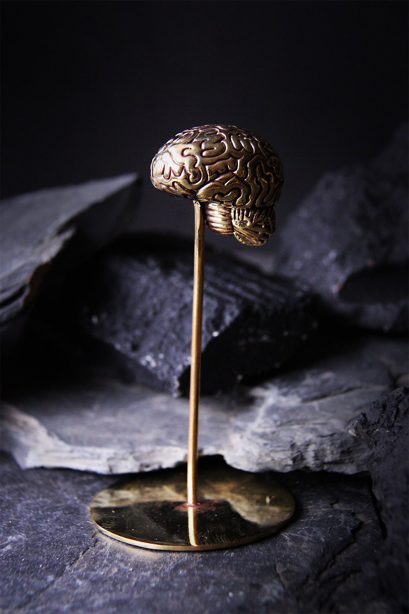 สแตนสมอง Anatomy Brain original made and designed by Defy. - อื่นๆ - โลหะ 