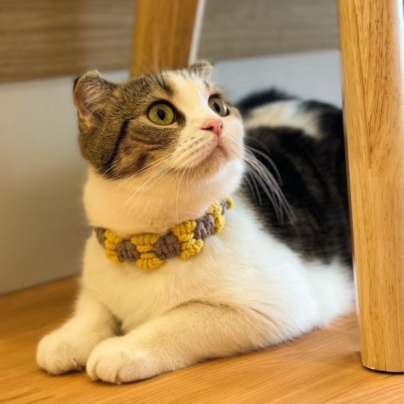 Handmade Macrame Pet Collar (Cat/Dog) - 項圈/牽繩 - 其他材質 多色