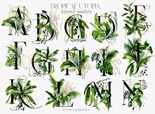 Whiteheartdesign Tropic Greenery Alphabet Watercolor Clipart Green Tropical Leaves Letters Number