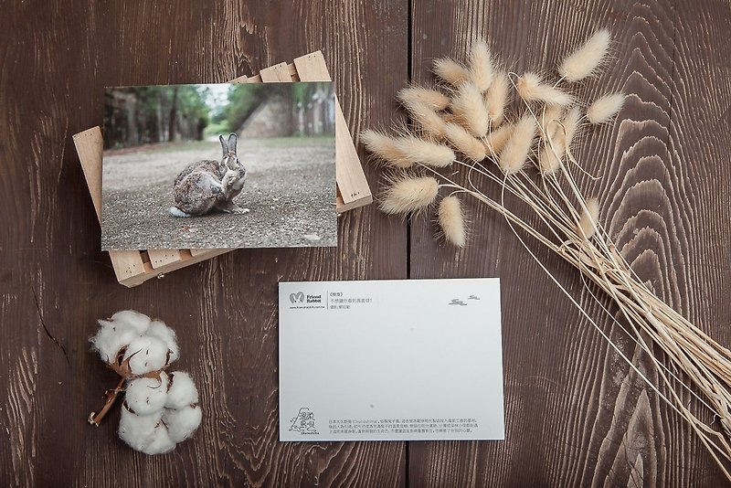 兔子攝影明信片- 俏皮 - 心意卡/卡片 - 紙 咖啡色