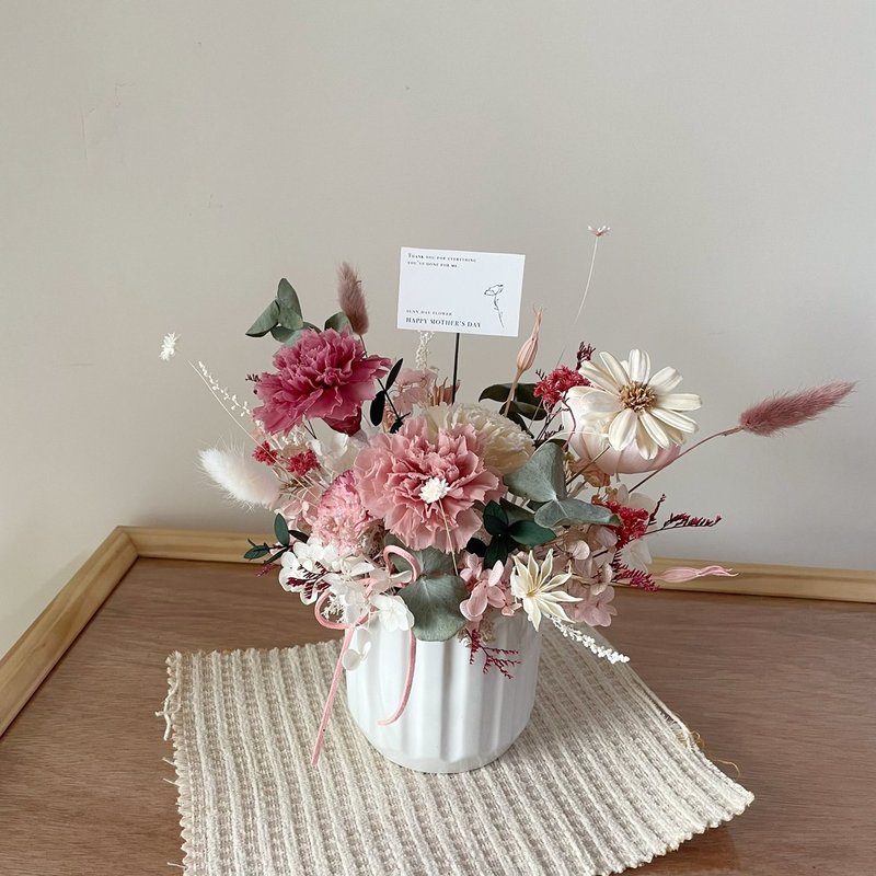 【母親節花禮】康乃馨 母親節 永生康乃馨盆花 韓系盆花 永生花 - 乾燥花/永生花 - 植物．花 