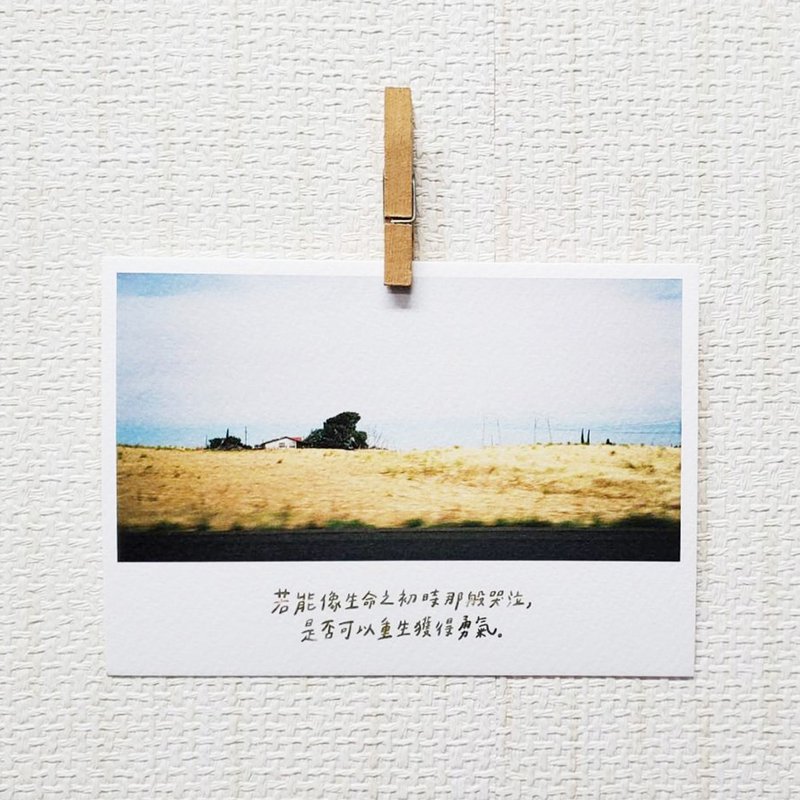 生命之初/ Magai's postcard - 卡片/明信片 - 紙 金色