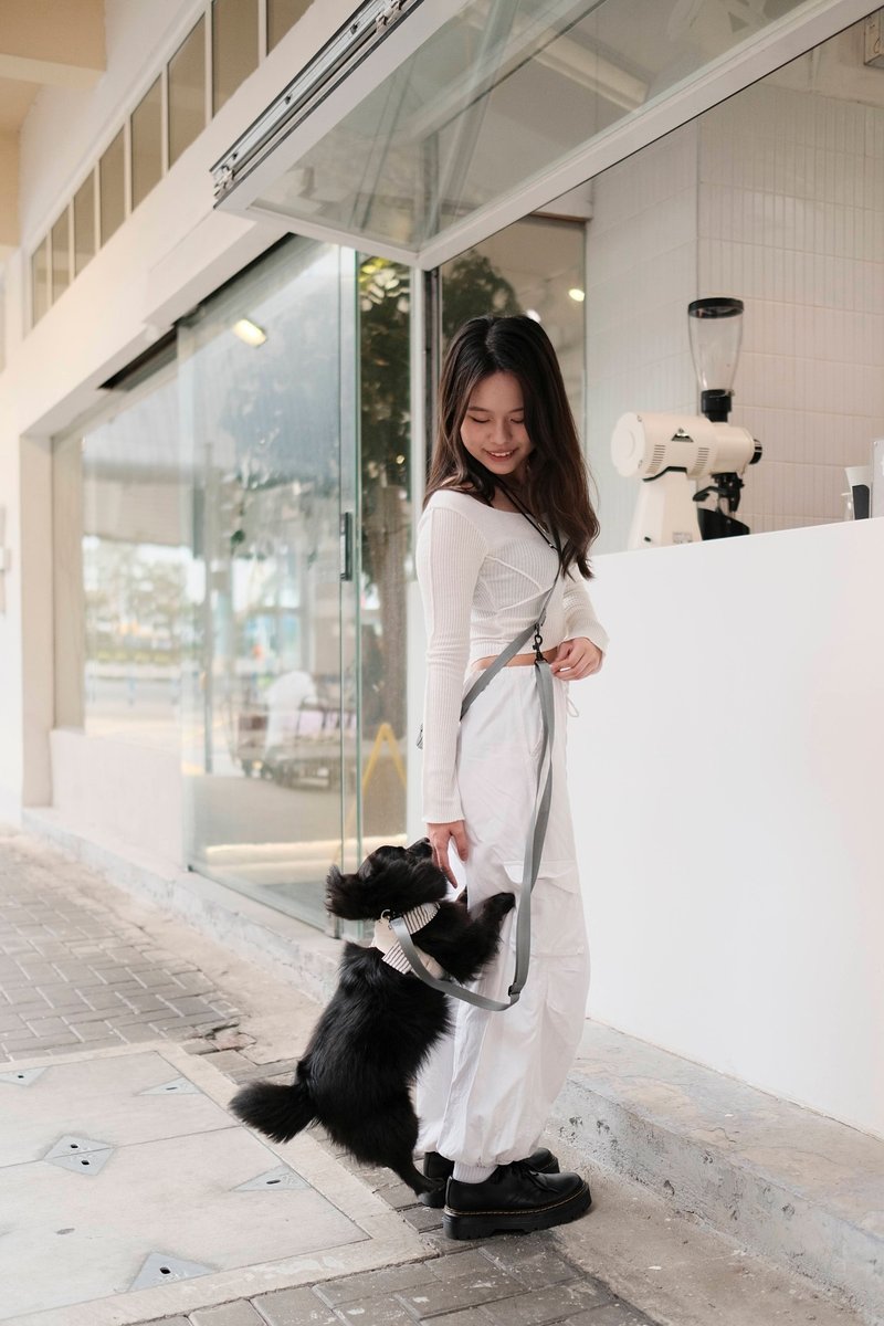 Mongster Flexi Leash / MISTY BLUE / dog, camera, phone leash - กระเป๋าสัตว์เลี้ยง - ไนลอน สีน้ำเงิน