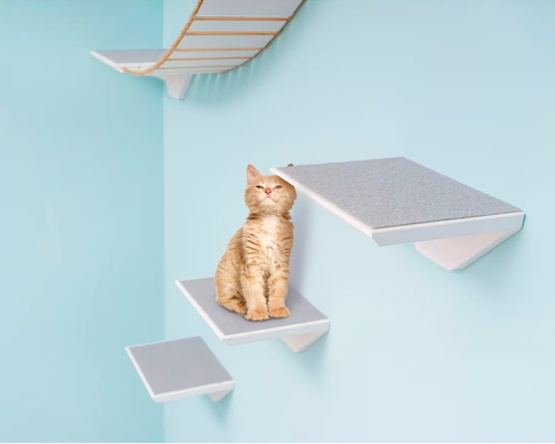 Cat Steps, Cat Wall Furniture, Cat Climbing Wall Shelves, Cat Walk Wall, Cat Lad - Scratchers & Cat Furniture - Wood Multicolor