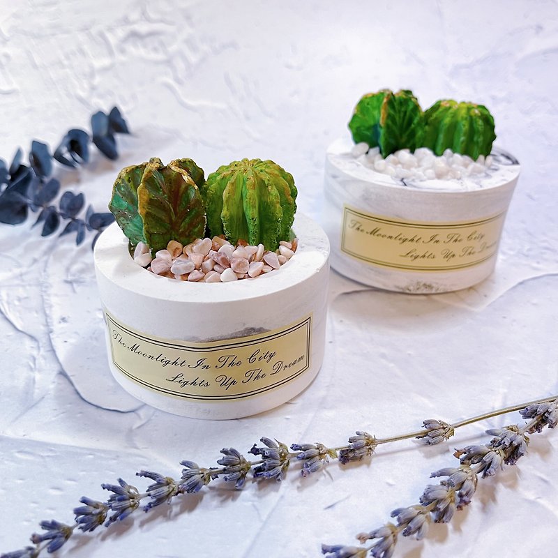 Cactus potted plant. Best friend’s double jade dew. Succulent potted plant. Cactus aroma diffuser Stone. Free fragrance essential oil. - น้ำหอม - หิน สีเขียว