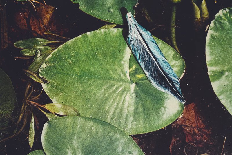 Woodcut Hand Painted Pendant - Feather - อื่นๆ - ไม้ สีเขียว