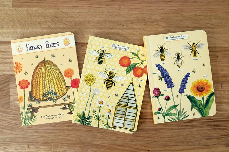 Cavallini Mini Notebook Set Bees &amp; Honey 3 in Bees &amp; Honey