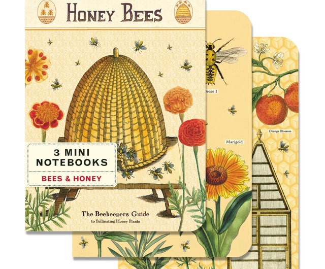 Cavallini ミニ ノートブック セット Bees & Honey 3 パック Bees