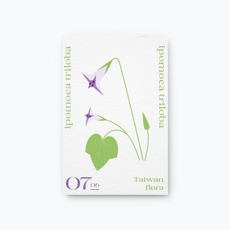 Flower and Calendar No.0706 Red Flower Wild Morning Glory Postcard (On Preorder) - Cards & Postcards - Paper Purple