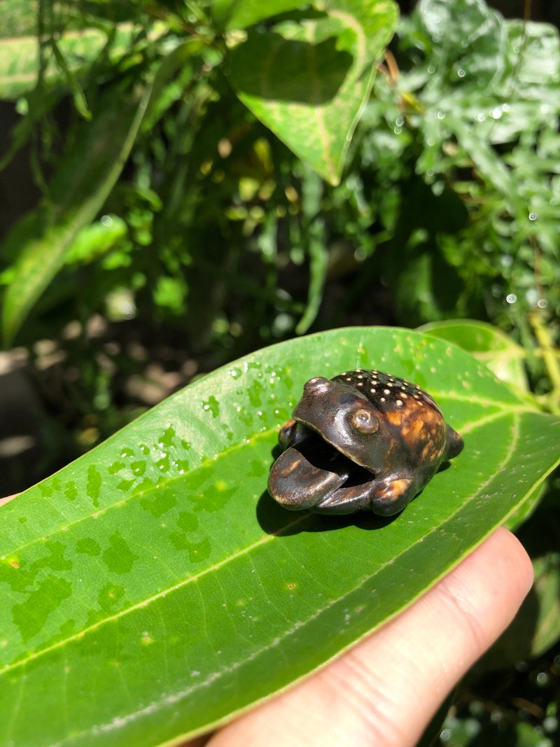 golden frog - Items for Display - Pottery 