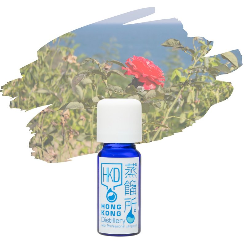 3% Rose Otto Essential Oil 10ml - Fragrances - Essential Oils Transparent