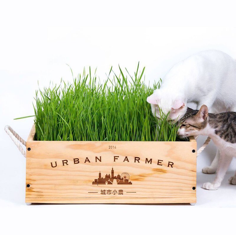 Urban Small Farmers Cultivation Group-Cat Cao Group // Pet Area // Cat Cao - Other - Wood Khaki