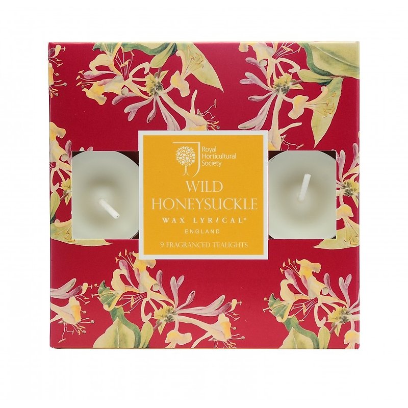 British candle RHS FG wild honeysuckle mini candle 9 in - Candles & Candle Holders - Wax 