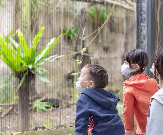 Workshops】Toddlers explore nature experience zoos and trails together, develop observation skills Shop CIRCLE HOUSE - Indoor,Outdoor Recreation - Pinkoi