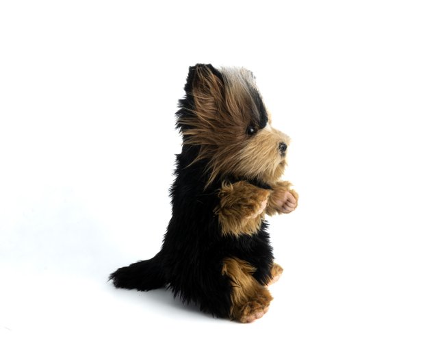 ハンザ 8453-ヨークシャーテリア ハンドパペット 長さ31cm - ショップ