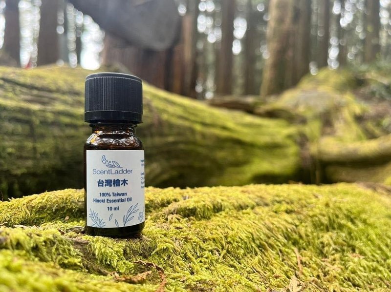 Taiwanese Hinoki I Single Essential Oil I Taiwan 100 I Relax and Relieve Worry - น้ำหอม - น้ำมันหอม 