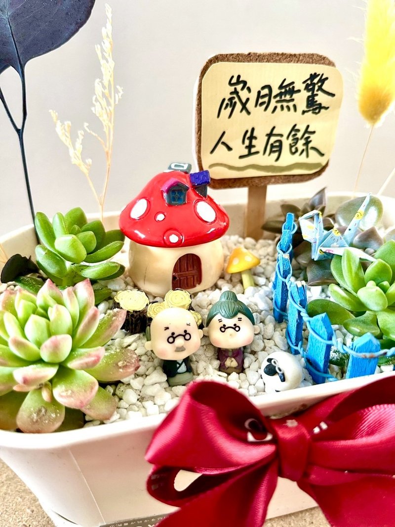 多肉組盆 多肉植物 日式枯山水 婚禮禮物 情人節 禮物 結婚紀念日 - 盆栽/植栽 - 植物．花 綠色