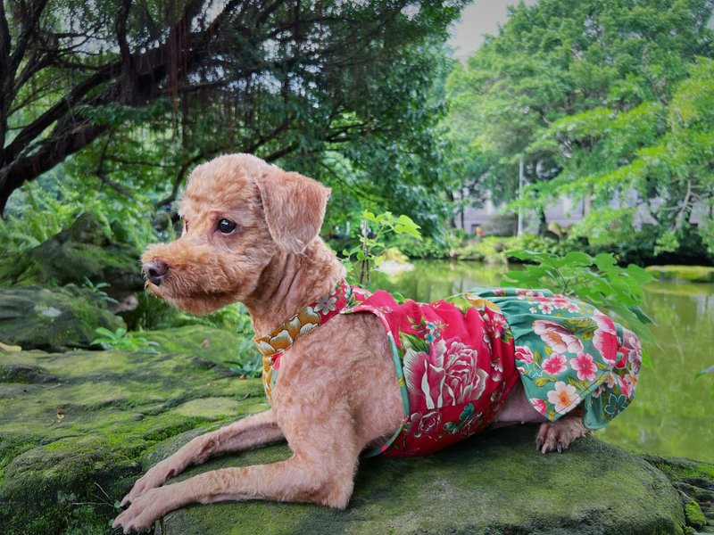 Pet Dress with Hakka Flower Print Clothes for Small Dogs Cats Girl Outfit - Clothing & Accessories - Cotton & Hemp Green