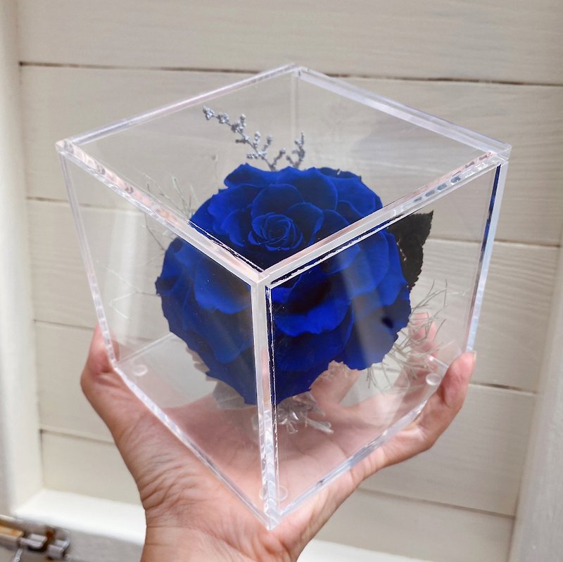 The little prince's rose square flower cup blue enchantress Ecuador eternal flower - ของวางตกแต่ง - พืช/ดอกไม้ 